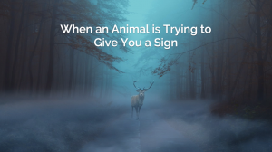 Spiritual Messages from Animals