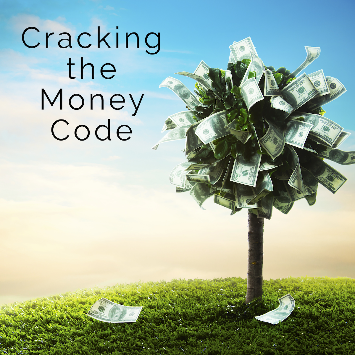 cracking the money code3