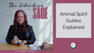 Animal Spirit Guides